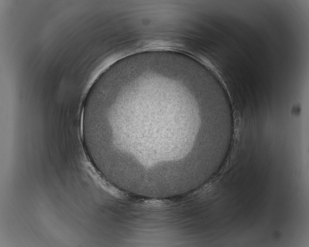 X0000115631227200911241639