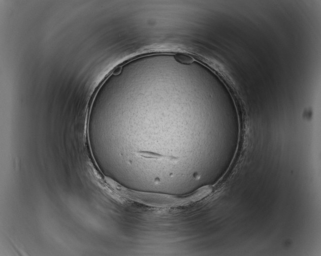 X0000115631228200911241639