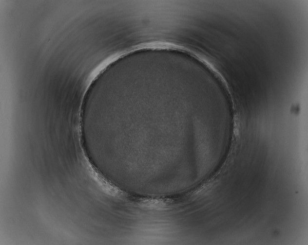 X0000115631229200911241639