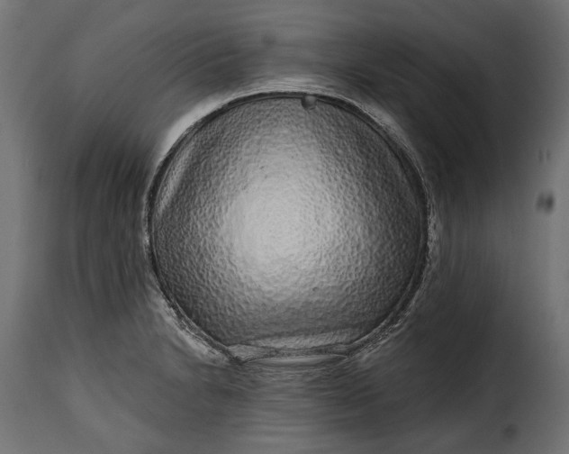 X0000115631230200911241639