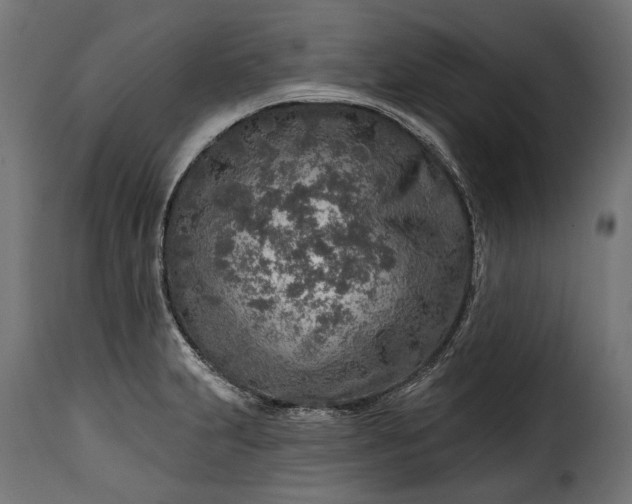 X0000115631231200911241639