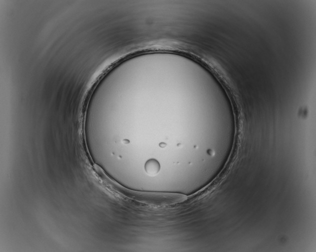 X0000115631232200911241639