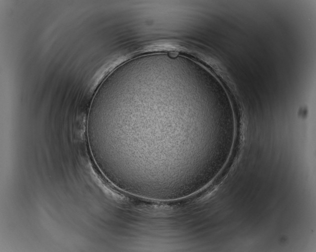 X0000115631233200911241639