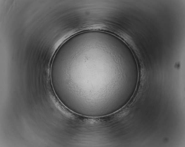 X0000115631234200911241639