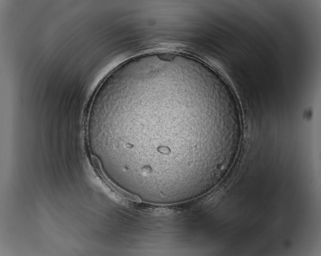 X0000115631235200911241639