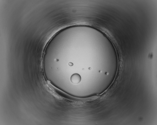 X0000115631236200911241639