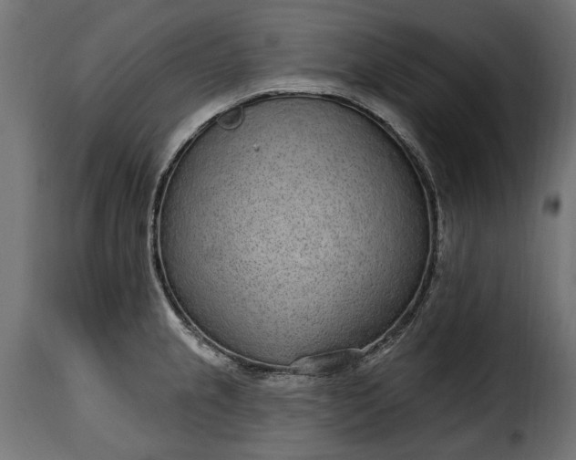 X0000115631237200911241639