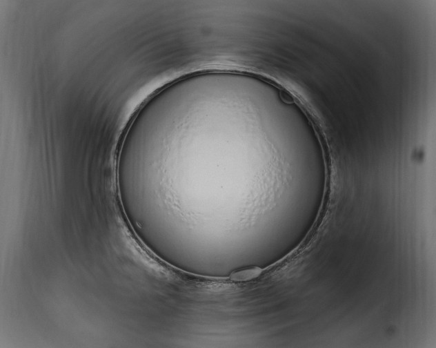 X0000115631238200911241639