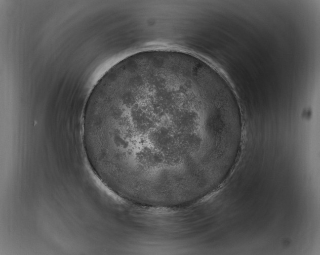 X0000115631239200911241639