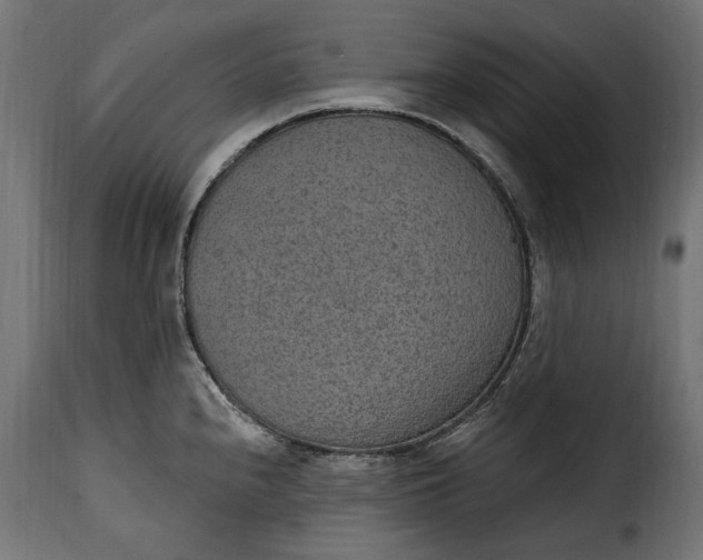 X0000115631240200911241639