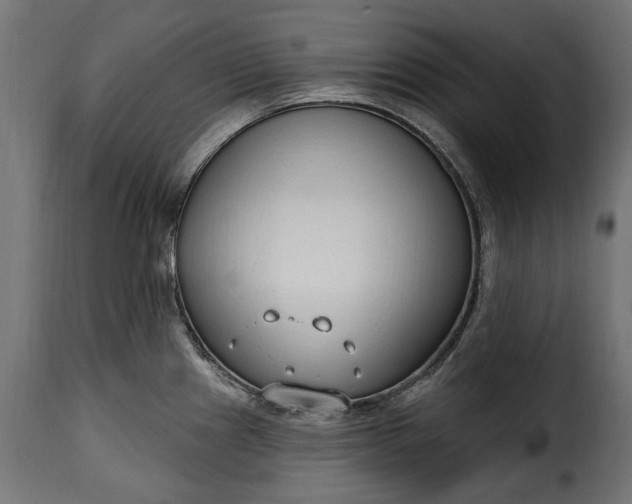 X0000115631241200911241639