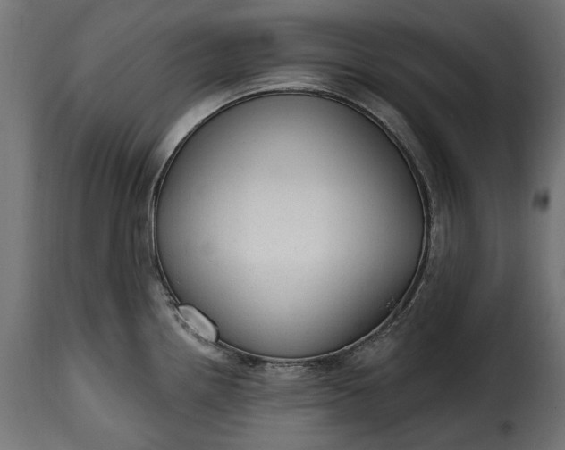 X0000115631242200911241639