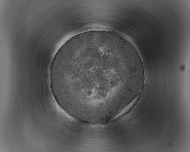 X0000115631243200911241639