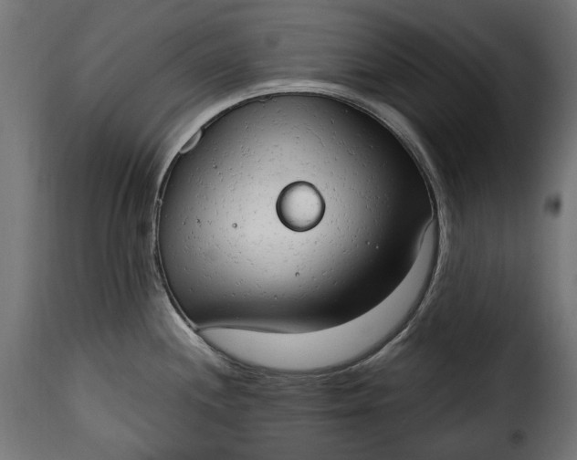 X0000115631244200911241639