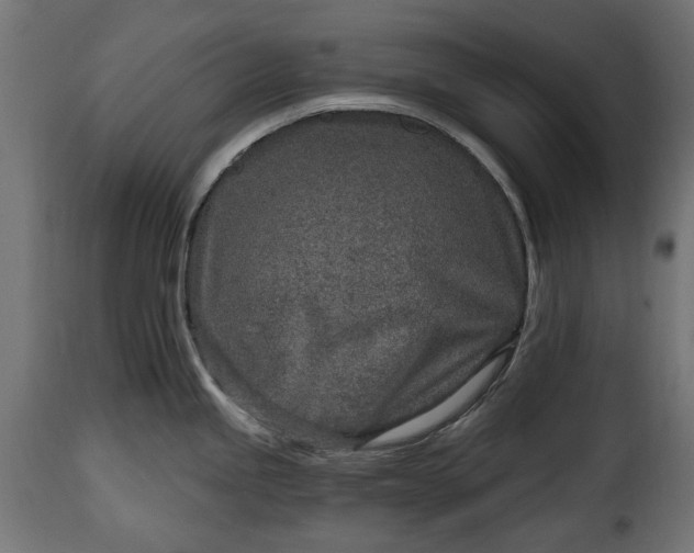 X0000115631245200911241639