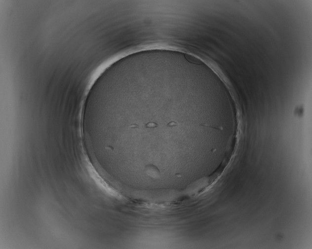 X0000115631246200911241639