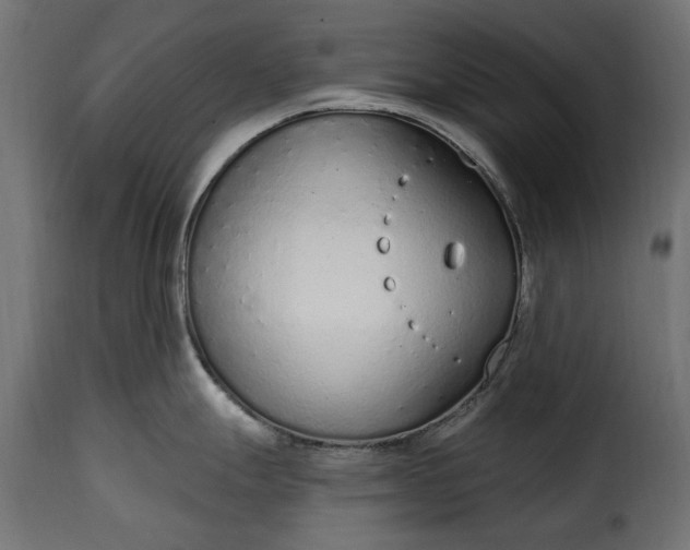 X0000115631247200911241639