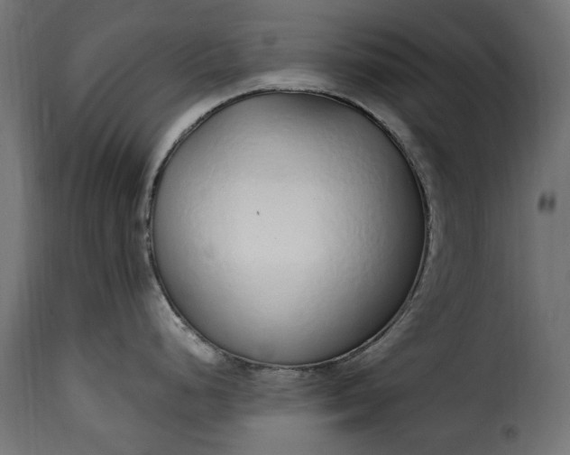 X0000115631248200911241639