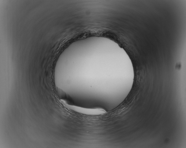 X0000115631249200911241639