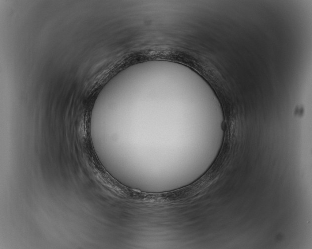 X0000115631250200911241639