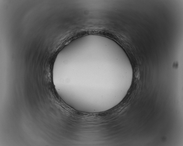 X0000115631252200911241639