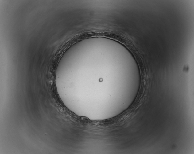 X0000115631253200911241639