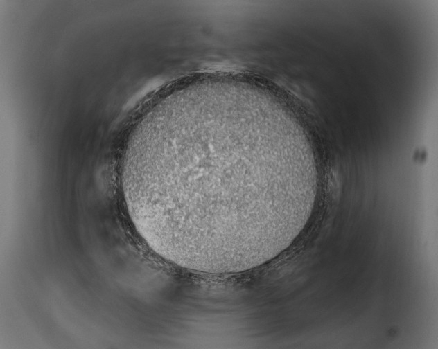 X0000115631254200911241639