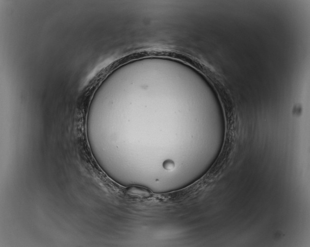 X0000115631255200911241639