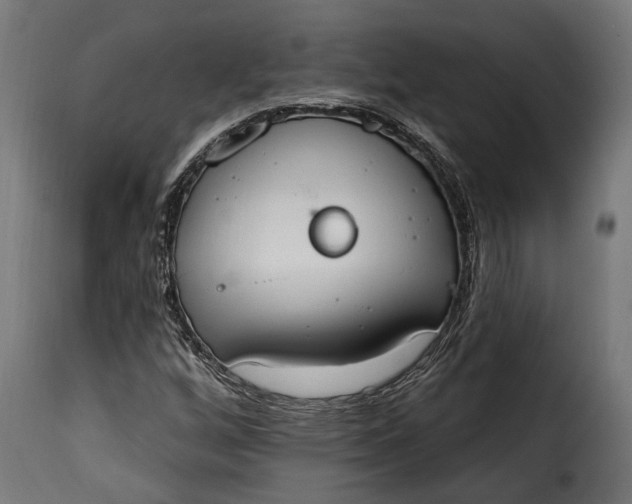 X0000115631256200911241639