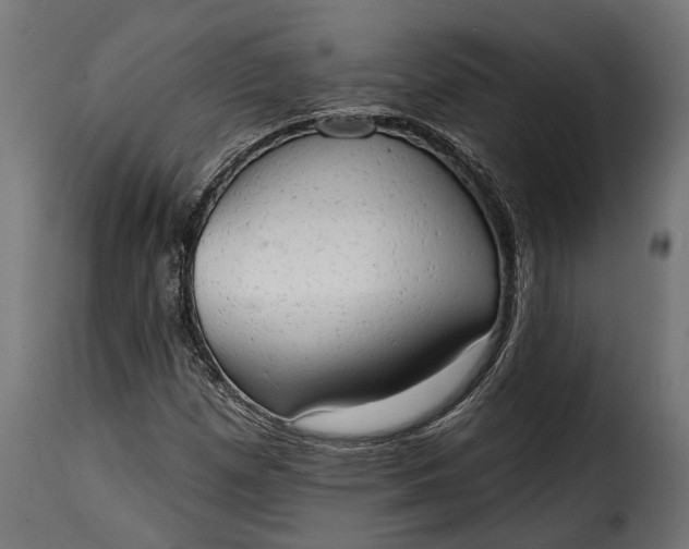 X0000115631257200911241639