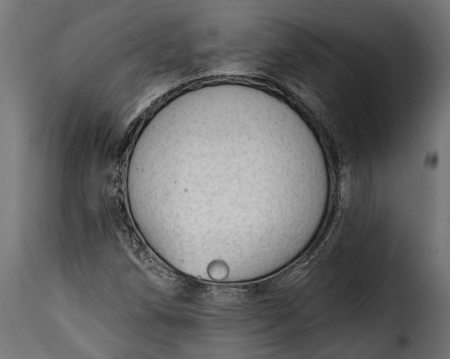 X0000115631258200911241639