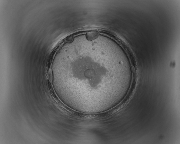 X0000115631259200911241639