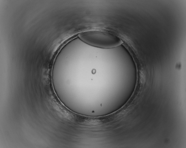 X0000115631260200911241639