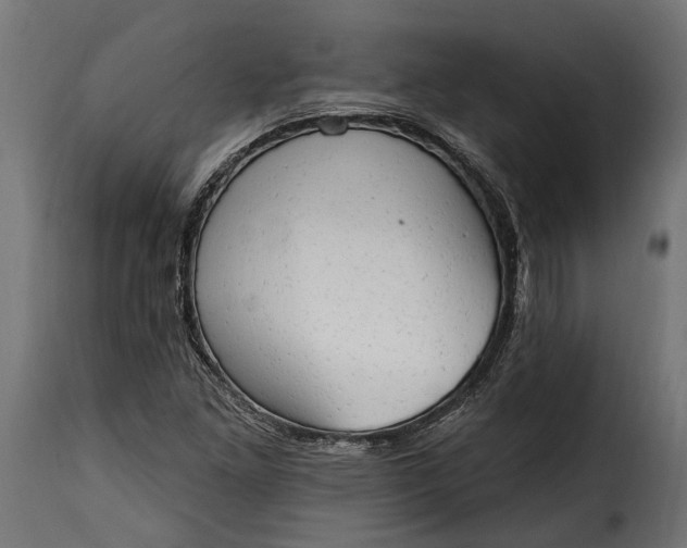 X0000115631261200911241639