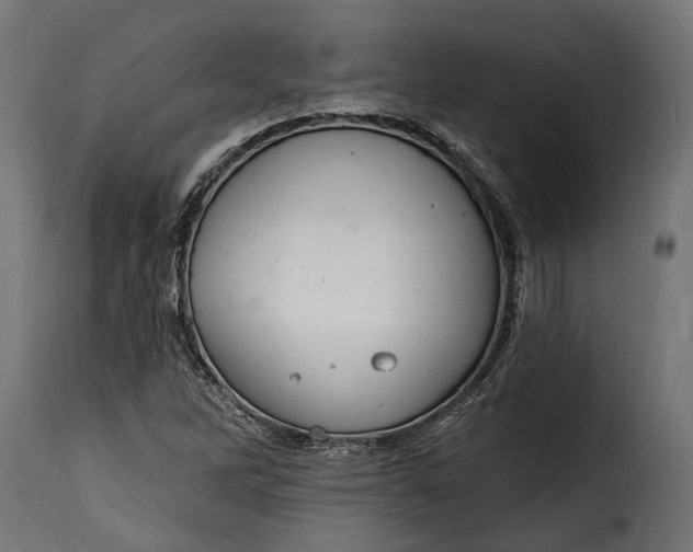 X0000115631262200911241639