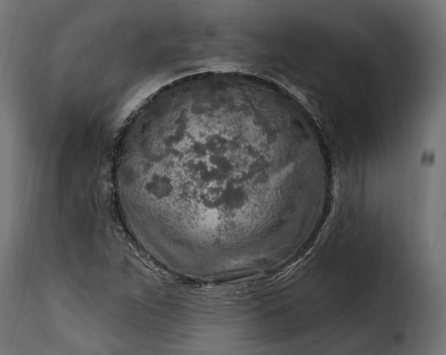 X0000115631263200911241639