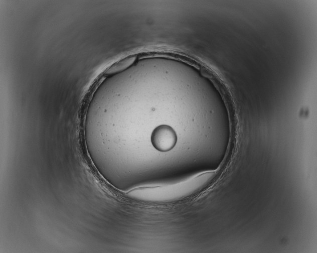 X0000115631264200911241639