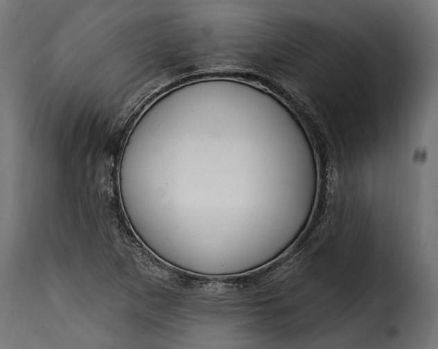 X0000115631265200911241639