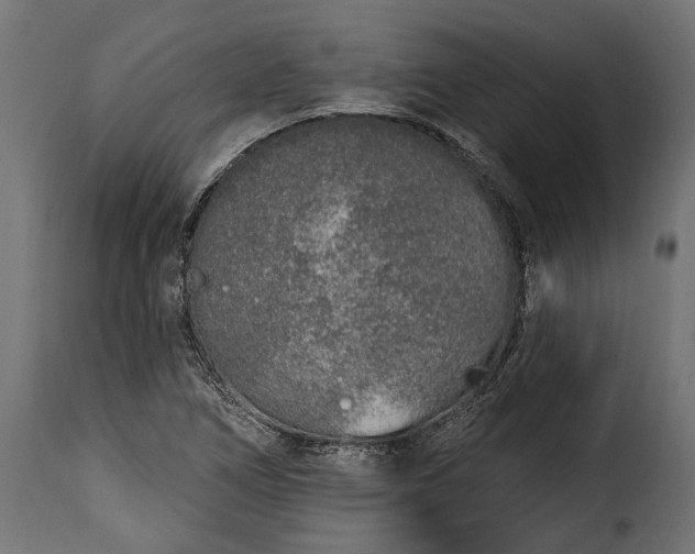 X0000115631266200911241639