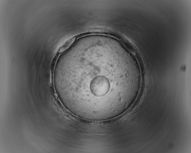 X0000115631267200911241639