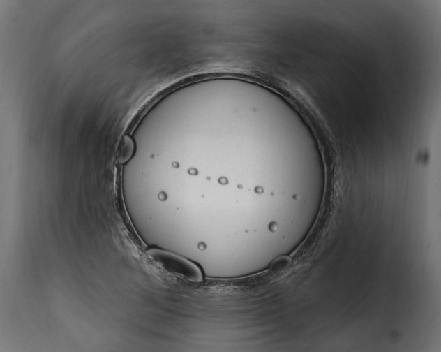 X0000115631268200911241639