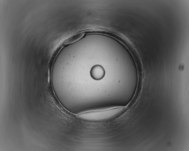 X0000115631269200911241639