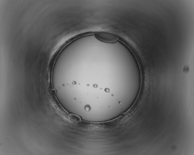 X0000115631270200911241639