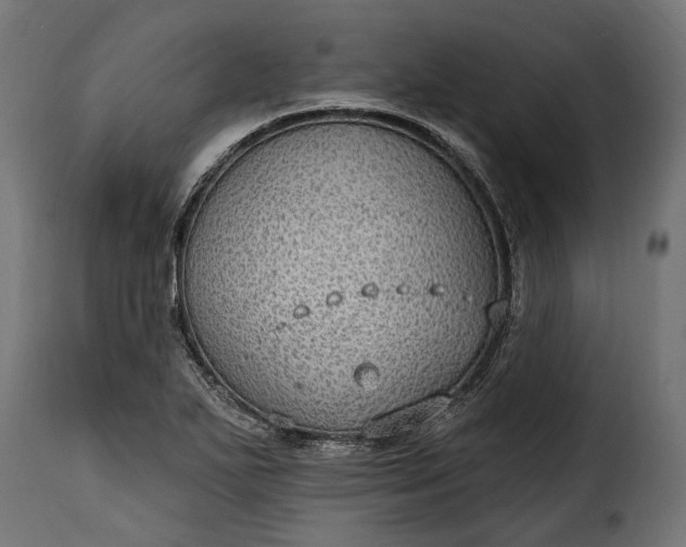 X0000115631271200911241639