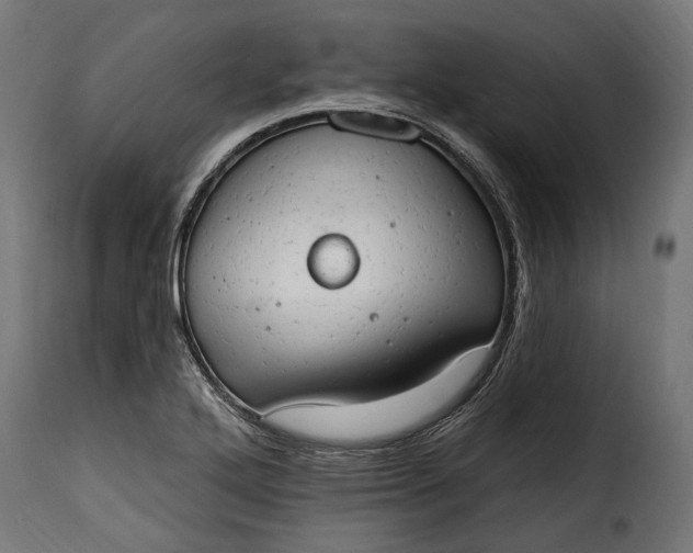 X0000115631272200911241639