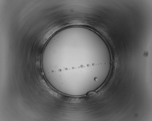 X0000115631273200911241639