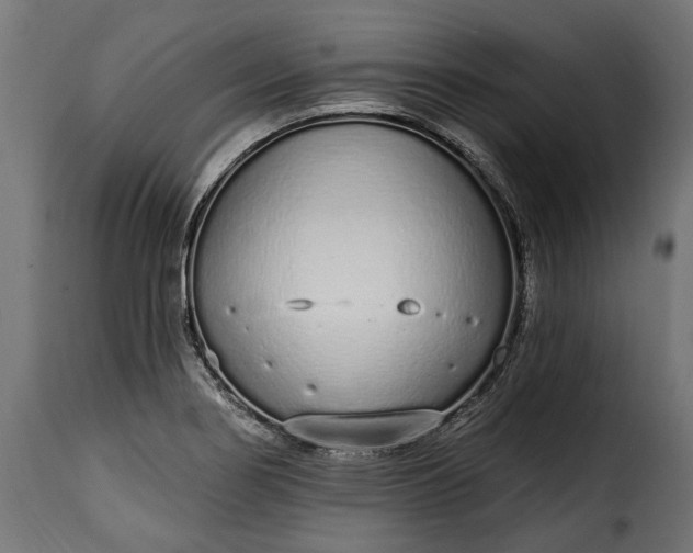 X0000115631274200911241638