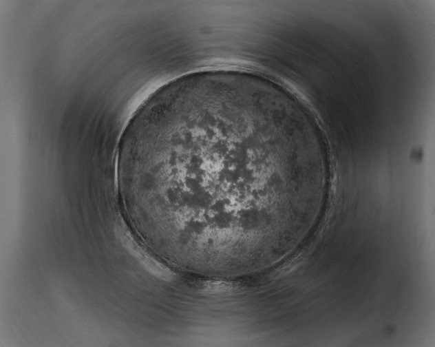 X0000115631275200911241638