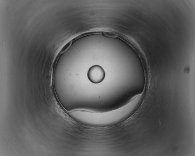 X0000115631276200911241638