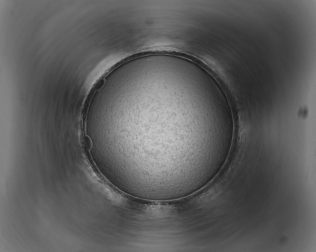 X0000115631277200911241638